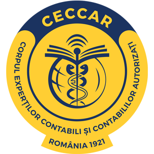 Contabilitate,Contabilitate digitala